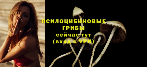 MDMA Красноперекопск