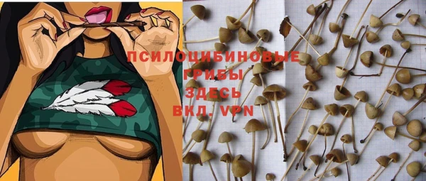 марки nbome Краснотурьинск