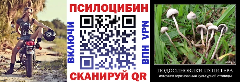 Галлюциногенные грибы GOLDEN TEACHER  Купить где  Калач-на-Дону 